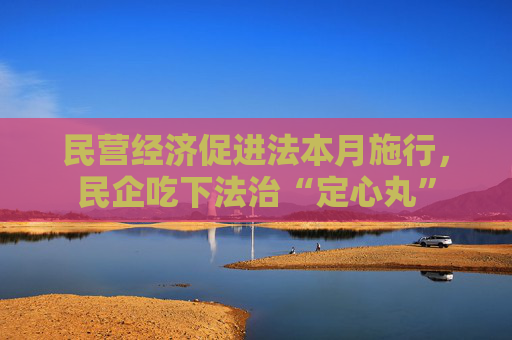 民营经济促进法本月施行，民企吃下法治“定心丸”