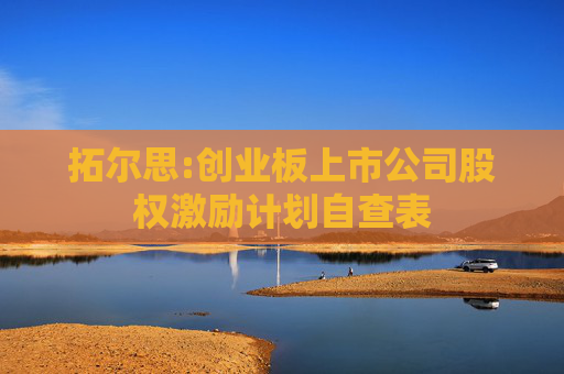 拓尔思:创业板上市公司股权激励计划自查表