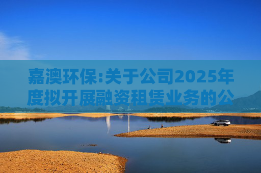 嘉澳环保:关于公司2025年度拟开展融资租赁业务的公告