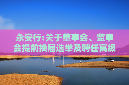 永安行:关于董事会、监事会提前换届选举及聘任高级管理人员的公告