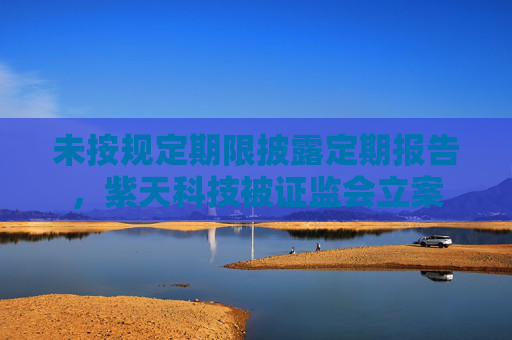 未按规定期限披露定期报告，紫天科技被证监会立案