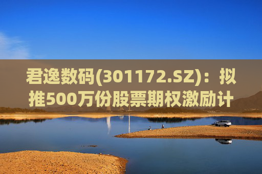 君逸数码(301172.SZ)：拟推500万份股票期权激励计划