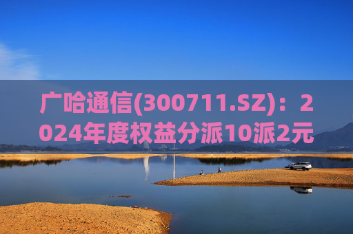 广哈通信(300711.SZ)：2024年度权益分派10派2元 股权登记日5月12日