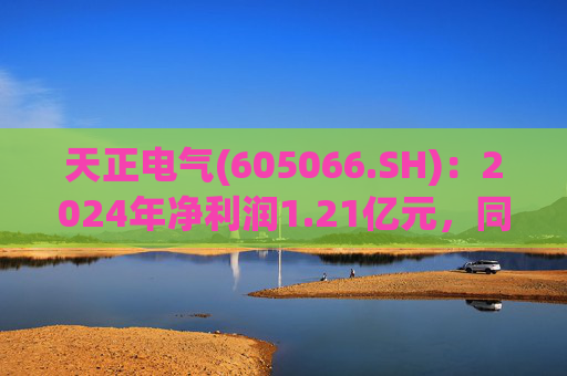 天正电气(605066.SH)：2024年净利润1.21亿元，同比下降24.94%
