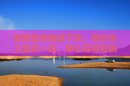 指数情绪继续下杀，涨价化工昙花一现，耐心等待右侧机会 #A股 #指数 #大盘 #量化 #短线