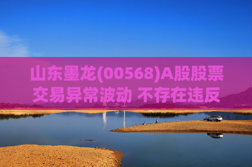 山东墨龙(00568)A股股票交易异常波动 不存在违反信息公平披露的情形