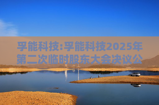 孚能科技:孚能科技2025年第二次临时股东大会决议公告  第1张