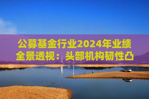 公募基金行业2024年业绩全景透视：头部机构韧性凸显 中小公司差异化突围  第1张