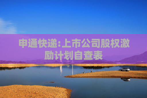 申通快递:上市公司股权激励计划自查表