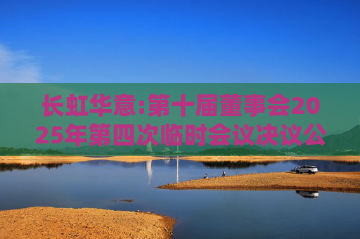 长虹华意:第十届董事会2025年第四次临时会议决议公告