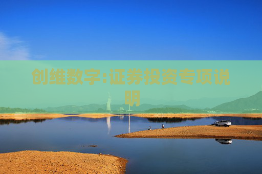 创维数字:证券投资专项说明