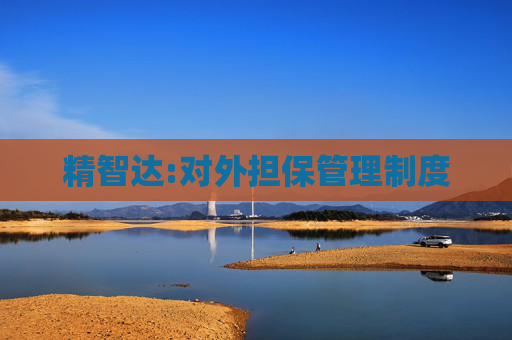 精智达:对外担保管理制度