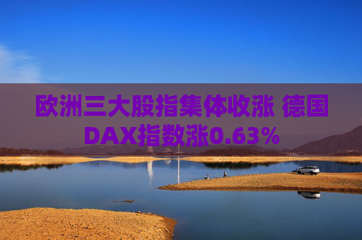 欧洲三大股指集体收涨 德国DAX指数涨0.63%