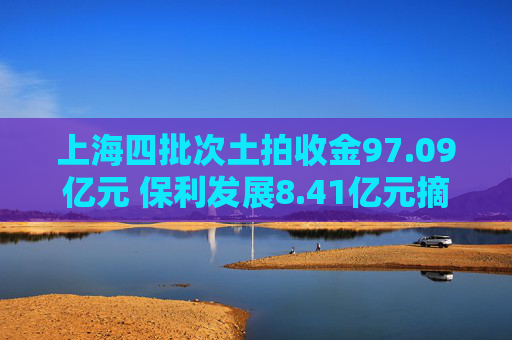 上海四批次土拍收金97.09亿元 保利发展8.41亿元摘得青浦一宅地