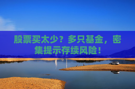股票买太少？多只基金，密集提示存续风险！