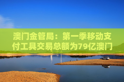 澳门金管局：第一季移动支付工具交易总额为79亿澳门元 同比上升8.7%