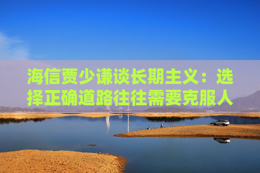 海信贾少谦谈长期主义：选择正确道路往往需要克服人性弱点，承受短期阵痛