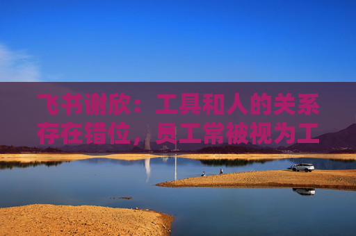 飞书谢欣：工具和人的关系存在错位，员工常被视为工具的附属