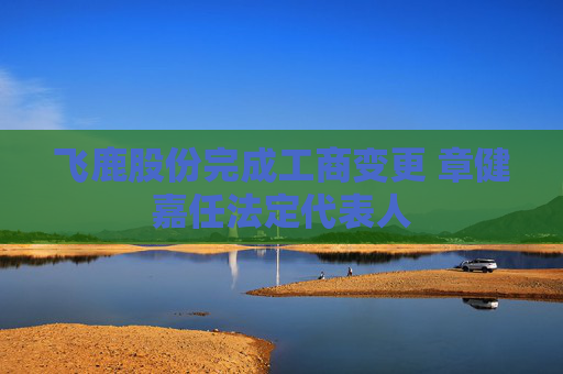 飞鹿股份完成工商变更 章健嘉任法定代表人