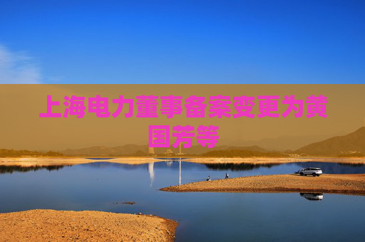 上海电力董事备案变更为黄国芳等