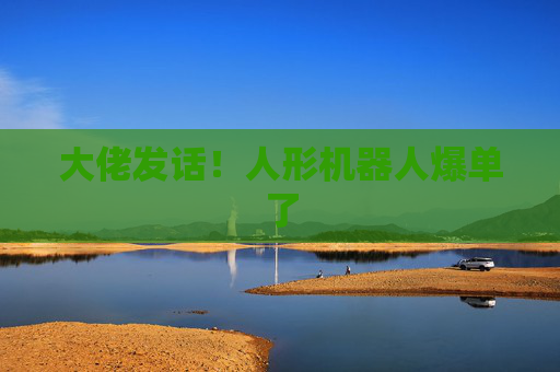 大佬发话！人形机器人爆单了  第1张