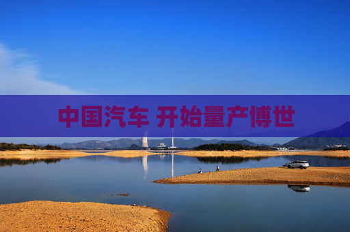 中国汽车 开始量产博世  第1张