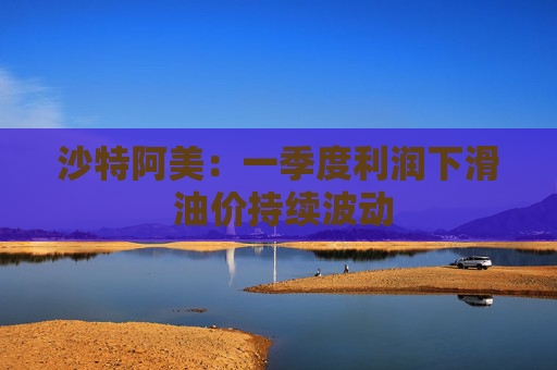 沙特阿美：一季度利润下滑 油价持续波动
