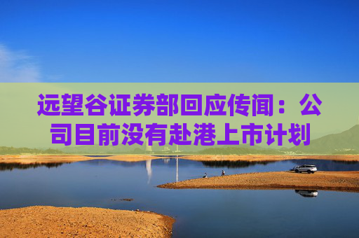远望谷证券部回应传闻：公司目前没有赴港上市计划