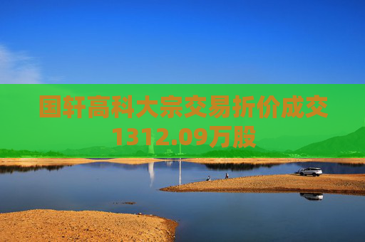 国轩高科大宗交易折价成交1312.09万股