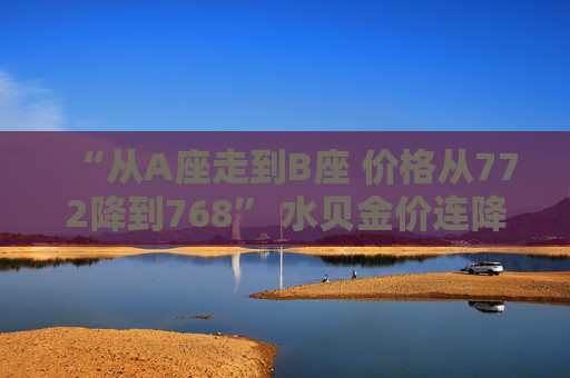 “从A座走到B座 价格从772降到768” 水贝金价连降三日！机构调整预期