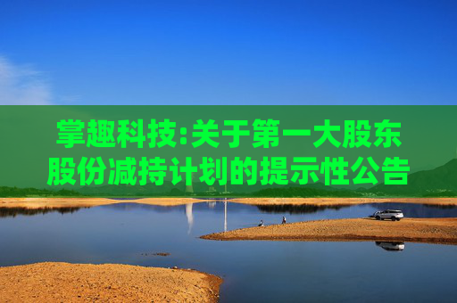 掌趣科技:关于第一大股东股份减持计划的提示性公告