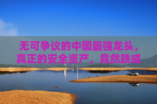 无可争议的中国最强龙头，真正的安全资产，竟然跌成了高股息股