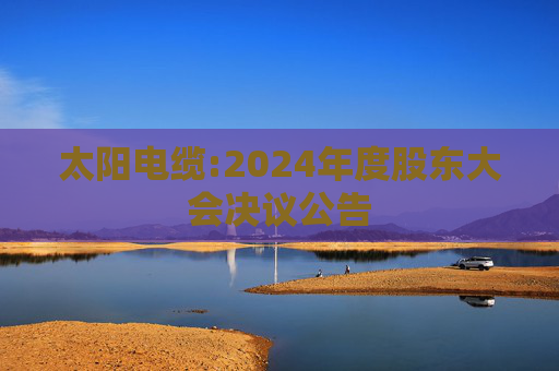 太阳电缆:2024年度股东大会决议公告