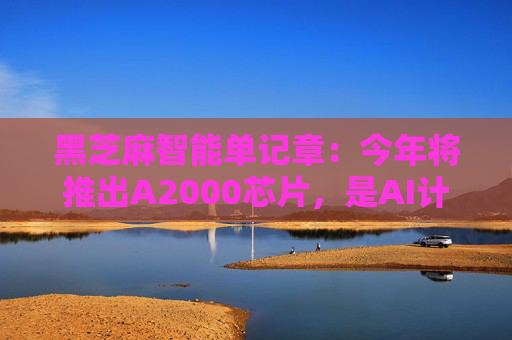 黑芝麻智能单记章：今年将推出A2000芯片，是AI计算效率的重大突破