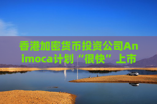 香港加密货币投资公司Animoca计划“很快”上市