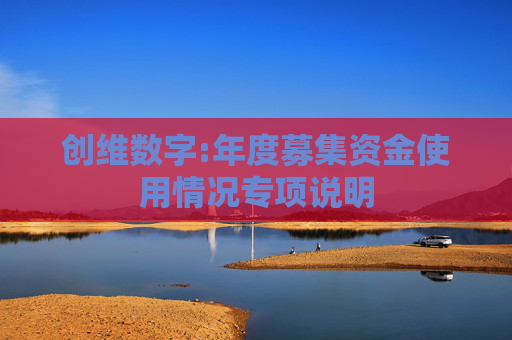 创维数字:年度募集资金使用情况专项说明