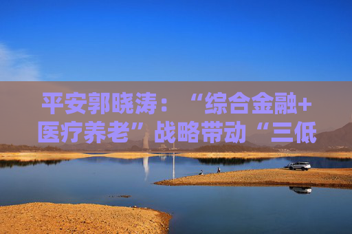 平安郭晓涛：“综合金融+医疗养老”战略带动“三低一高”和“三差”优化