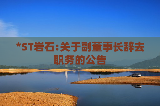 *ST岩石:关于副董事长辞去职务的公告