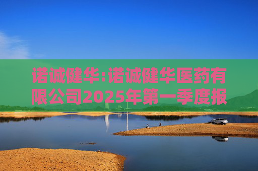 诺诚健华:诺诚健华医药有限公司2025年第一季度报告