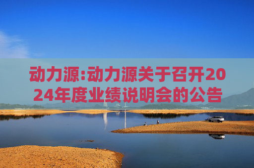 动力源:动力源关于召开2024年度业绩说明会的公告