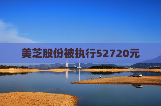 美芝股份被执行52720元