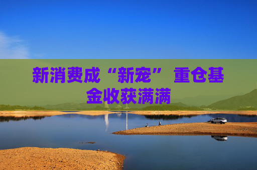 新消费成“新宠” 重仓基金收获满满