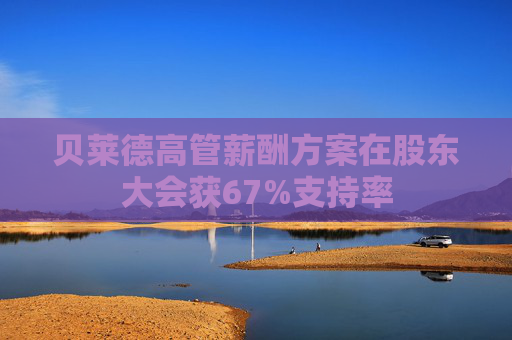 贝莱德高管薪酬方案在股东大会获67%支持率