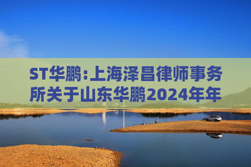 ST华鹏:上海泽昌律师事务所关于山东华鹏2024年年度股东大会的法律意见书  第1张