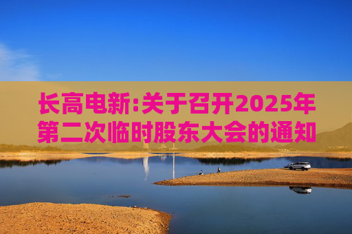 长高电新:关于召开2025年第二次临时股东大会的通知