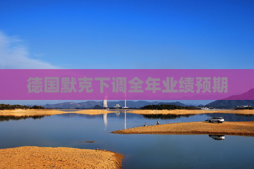德国默克下调全年业绩预期
