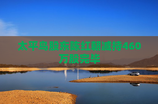 太平鸟股东陈红朝减持460万股完毕