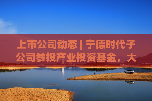 上市公司动态 | 宁德时代子公司参投产业投资基金，大有能源子公司发生生产事故，海天味业、安井食品港股上市获进展