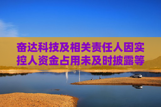 奋达科技及相关责任人因实控人资金占用未及时披露等问题被警示