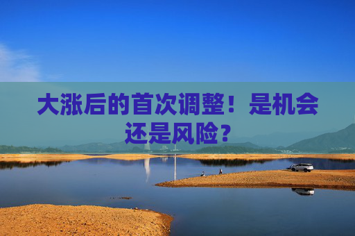 大涨后的首次调整！是机会还是风险？